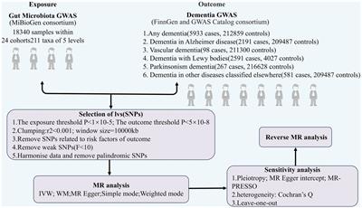 Causal relationship between gut microflora and dementia: a Mendelian randomization study